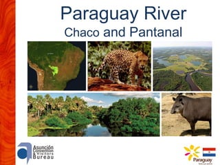 Paraguay River
Chaco and Pantanal

 