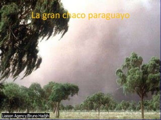 La gran chaco paraguayo
 