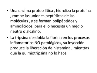 Una enzima proteo lítica , hidroliza la proteína , rompe las uniones peptídicas de las moléculas , y se forman polipéptidos y aminoácidos, para ello necesita un medio neutro o alcalino.La tripsina desdobla la fibrina en los procesos inflamatorios NO patológicos, su inyección produce la liberación de histamina , mientras que la quimiotripsina no lo hace.
