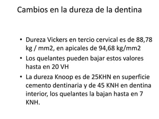 Cambios en la dureza de la dentinaDureza Vickers en tercio cervical es de 88,78 kg / mm2, en apicales de 94,68 kg/mm2Los quelantes pueden bajar estos valores hasta en 20 VHLa dureza Knoop es de 25KHN en superficie cemento dentinaria y de 45 KNH en dentina interior, los quelantes la bajan hasta en 7  KNH.