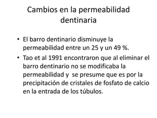 Cambios en la permeabilidad dentinariaEl barro dentinario disminuye la permeabilidad entre un 25 y un 49 %.Tao et al 1991 encontraron que al eliminar el barro dentinario no se modificaba la permeabilidad y  se presume que es por la precipitación de cristales de fosfato de calcio en la entrada de los túbulos.