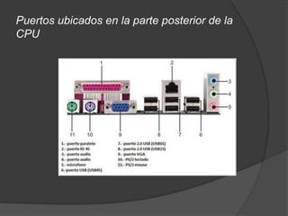 Puertos ubicados en la parte posterior de la
CPU
 