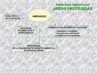 PROBLEMAS AMBIENTALES
AREAS PROTEGIDAS
AMENAZASCAZA, PESCA Y
TALA ILEGALES
INCENDIOS
ACCIDENTALES O
INTENCIONALES
DEFICIENCIAS
EN LA EVALUACION DE IMPACTO AMBIENTAL
DE GRANDES OBRAS
INTRODUCCION DE ESPECIES EXOTICAS
desplazan y amenazan
a las especies autóctonas
y modifican los ecosistemas
 