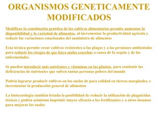 ORGANISMOS GENETICAMENTE
MODIFICADOS
Modificar la constitución genética de los cultivos alimentarios permite aumentar la
disponibilidad y la variedad de alimentos, al incrementar la productividad agrícola y
reducir las variaciones estacionales del suministro de alimentos
Esta técnica permite crear cultivos resistentes a las plagas y a las presiones ambientales
para reducir los riesgos de que haya malas cosechas a causa de la sequía y de las
enfermedades
Se pueden introducir más nutrientes y vitaminas en las plantas, para combatir las
deficiencias de nutrientes que sufren tantas personas pobres del mundo
Podría lograrse producir cultivos en los suelos de poca calidad en tierras marginales, e
incrementar la producción general de alimentos
La biotecnología también brinda la posibilidad de reducir la utilización de plaguicidas
tóxicos y podría asimismo imprimir mayor eficacia a los fertilizantes y a otros insumos
para mejorar los suelos
 