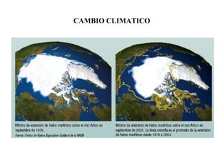CAMBIO CLIMATICO
 