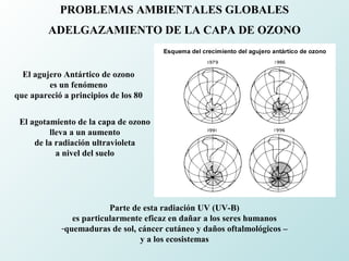 PROBLEMAS AMBIENTALES GLOBALES
ADELGAZAMIENTO DE LA CAPA DE OZONO
El agujero Antártico de ozono
es un fenómeno
que apareció a principios de los 80
El agotamiento de la capa de ozono
lleva a un aumento
de la radiación ultravioleta
a nivel del suelo
Parte de esta radiación UV (UV-B)
es particularmente eficaz en dañar a los seres humanos
-quemaduras de sol, cáncer cutáneo y daños oftalmológicos –
y a los ecosistemas
 