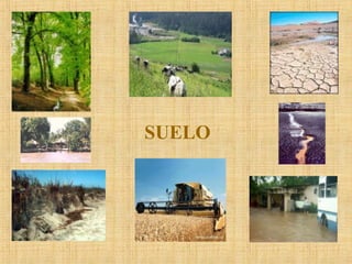 SUELO
 