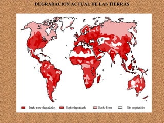 DEGRADACION ACTUAL DE LAS TIERRAS
 