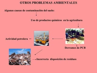 OTROS PROBLEMAS AMBIENTALES
Algunas causas de contaminación del suelo:
Uso de productos químicos en la agricultura
Actividad petrolera
Derrames de PCB
Incorrecta disposición de residuos
 