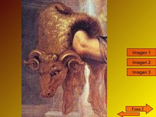 Fosa 2 Imagen 1 Imagen 2 Imagen 3 