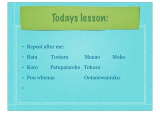 Todays lesson:
• Repeat after me:
• Rata Tootara Mauao Moko
• Koro Patupaiarehe Tohora
• Puu whenua Ootanewainuku
•
 
