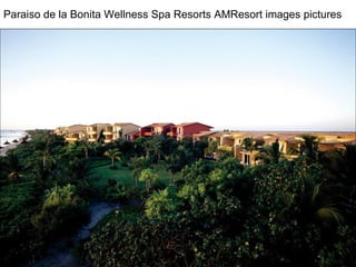 Paraiso de la Bonita Wellness Spa Resorts AMResort images pictures   