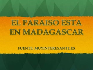 EL PARAISO ESTA EN MADAGASCAR FUENTE: MUYINTERESANTE.ES 