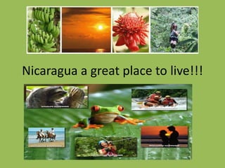 Nicaragua a great place to live!!!
 