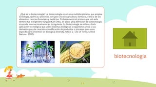 biotecnologia
¿Qué es la biotecnología? La biotecnología es un área multidisciplinaria, que emplea
la biología, química y procesos, con gran uso en agricultura, farmacia, ciencia de los
alimentos, ciencias forestales y medicina. Probablemente el primero que usó este
término fue el ingeniero húngaro Karl Ereky, en 1919. Una definición de biotecnología
aceptada internacionalmente es la siguiente: La biotecnología se refiere a toda
aplicación tecnológica que utilice sistemas biológicos y organismos vivos o sus
derivados para la creación o modificación de productos o procesos para usos
específicos (Convention on Biological Diversity, Article 2. Use of Terms, United
Nations. 1992).
 