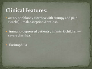 Transmission: contaminated water 