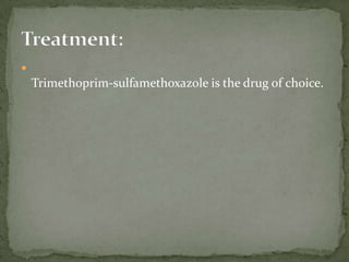 Sporulation of Cyclospora oocysts.  The sequence shows, as observed by DIC microscopy of wet mounts: an oocyst passed in fresh stool (Day 0); sporulated oocysts at days 5 (Day 5) and 10 (Day 10), which both contain 2 sporocysts; and a ruptured oocyst (Rupture), with a sporocyst still inside the oocyst and the other sporocyst just outside ­ the coiled sporozoites are barely visible inside the sporocysts. 