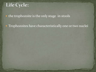 sporulation -- sporont -- two sporocysts (contains 2 sporozoites)  sporulatedoocysts are ingested (in contaminated food or water) oocystsexcyst in the gastrointestinal tract-- sporozoites invade the small intestine asexual multiplication and sexual development -- oocystsLife Cycle: