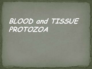 Trimethoprim-sulfamethoxazole is the drug of choice. Treatment: