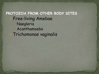  may possess some pathogenicity