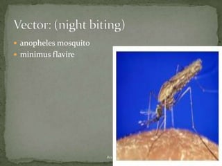   The drug of choice is iodoquinolParomomycin*, tetracycline*, (contraindicated in children under age 8, pregnant and lactating women) or metronidazole can also be used.  Treatment: