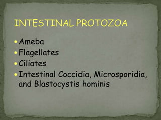 INTESTINAL PROTOZOAAmebaFlagellatesCiliatesIntestinal Coccidia, Microsporidia, and Blastocystis hominis