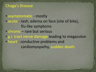 P. vivax gametocytes: round to oval with scattered brown pigment and may almost fill the red blood cell (RBC).  RBCs are enlarged 1 1/2 to 2 × and may be distorted.  Under optimal conditions, Schüffner's dots may appear more fine than those seen in P. ovale.