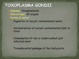 Incubation period - 8-30 days
