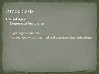 Site in host:lumen & wall of LI