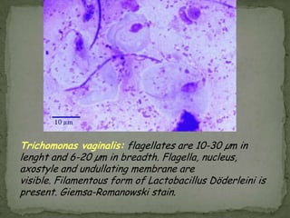 acute- rash, edema on face (site of bite), flu-like symptomschronic– rare but serious