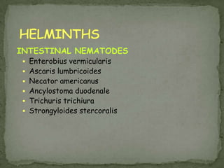 167DIAGNOSISSerology – high IgM or rising IgMCT scanMgmt:4-6 weeks of sulfadiazine +  pyrimethamine (take folic acid to counteract drug’s adverse effects)