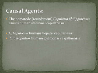 L. braziliensis complex: Mucocutaneusleishmaniasis (espundia, uta)