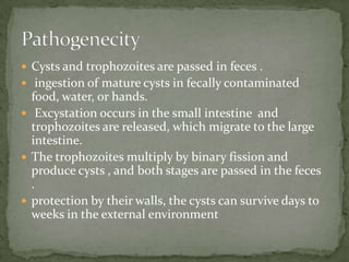 Causal Agent:Entamoebahistolyticapathogenic amebaassociated with intestinal and extraintestinal infections. Amoebiasis