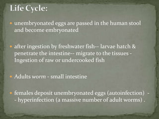 Portal of entry: Skin
