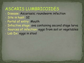 Naegleria:Primary Amebic Meningoencephalitis (PAM)