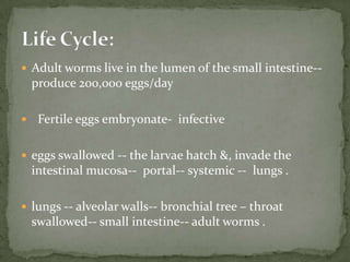 Source of infection: