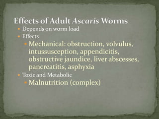 Acanthamoeba spp.:the cysts are spherical, 15-20 µm in diameter, having a thick double wall. The outer wall may be spherical or wrinkled, the inner wall appear stellate or polyhedral