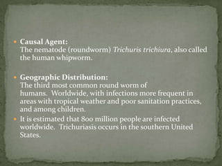 Site in host: vagina & prostate