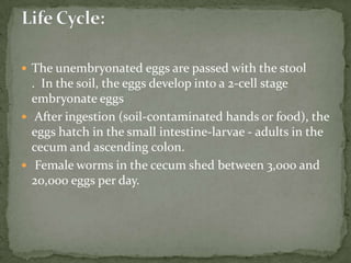 Sources of infection:trophs in vaginal & prostatic secretions