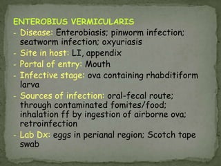 EukaryoticMulticellular animalsChemoheterotrophicKingdom: AnimaliaPhylum: Platyhelminthes (flatworms)Class: Trematodes (flukes)Class: Cestodes (tapeworms)Phylum: Nematodes (roundworms)Helminths (Parasitic Worms)