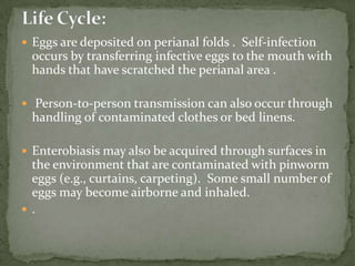 Nematodes: Larvae Infective for HumansFigure 25.26