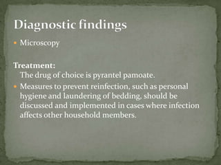 Ascaris lumbricoides