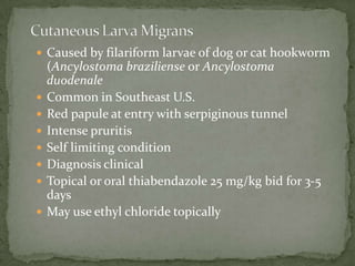 Life Cycle:Adult worms live in the lumen of the small intestine--produce 200,000 eggs/day  Fertile eggs embryonate-  infectiveeggs swallowed -- the larvae hatch &, invade the intestinal mucosa--  portal-- systemic --  lungs .  lungs -- alveolar walls-- bronchial tree – throat swallowed-- small intestine-- adult worms .  