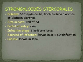 Clinical Features:Most frequently asymptomatic.  Heavy infections, especially in small children, can cause gastrointestinal problems (abdominal pain, diarrhea, rectal prolapse) and possibly growth retardation.