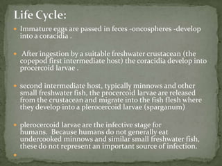 Enterobius (Pinworm)18 million infections in U.S.Incidence higher in whitesPreschool and elementary school most oftenMostly asymptomaticNocturnal anal pruritis cardinal feature due to migration and eggsMay have insomnia, possible emotional symptomsDS-eggs or adults on perineum {scotch tape}Mebendazole 100 mg.  Repeat in 2 weeks.  Pyrantel pamoate 11 mg/kg; repeat 2 weeks
