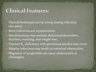 Site in host: SI, attached