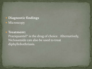 Portal of entry: Skin