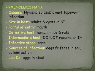 Portal of entry: skin, usually feet
