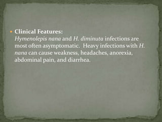 Case 1257 year old farmer from Dixie CountyPresents with profound SOBPhysical examination: anemic otherwise  unremarkableLaboratory examination reveals a profound anemia (hct 24) with aniso and poikilocytosisRemainder of laboratory examination normal.