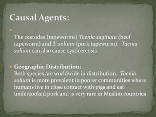 Cutaneous larva migrans (creeping eruption)Diagnosis and treatmentSkin lesions are readily recognizedUsually diagnosed clinicallyGenerally do not require biopsyReveal eosinophilia inflammatory infiltrateMigrating parasite is generally not seenStool smear will reveal eggs